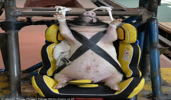 Topic Image